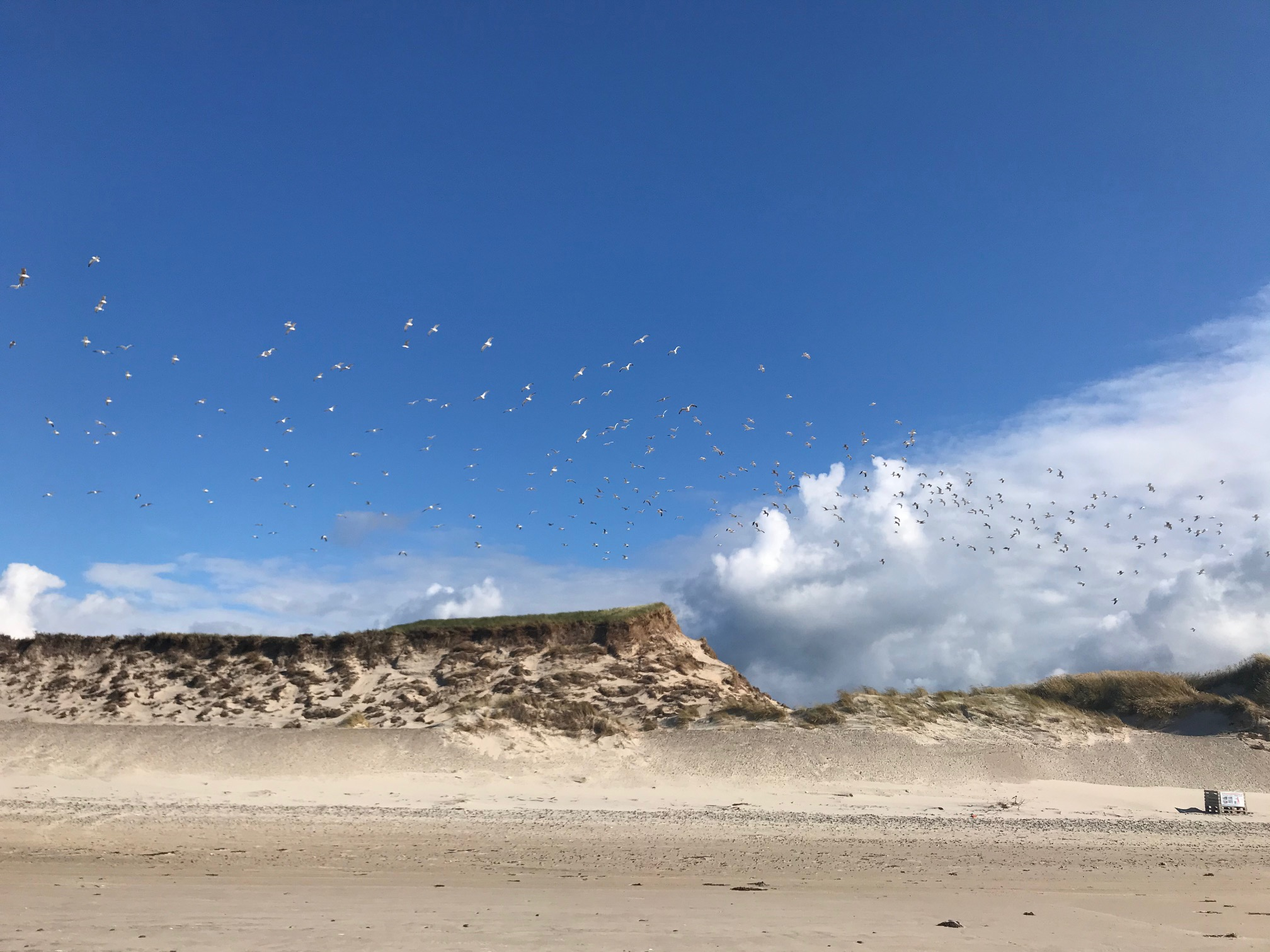 Kandestederne strand - Iyengar yoga - Summe Wind & Sea