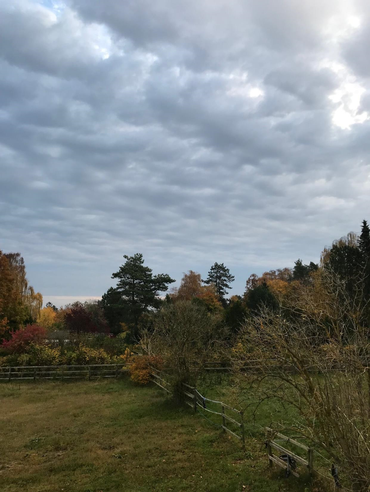 Vedbæk Yoga retreat - Løvfald Tisvilde 2022