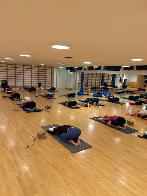 Adho mukha svanasana - Vedbæk Yoga i Nærum